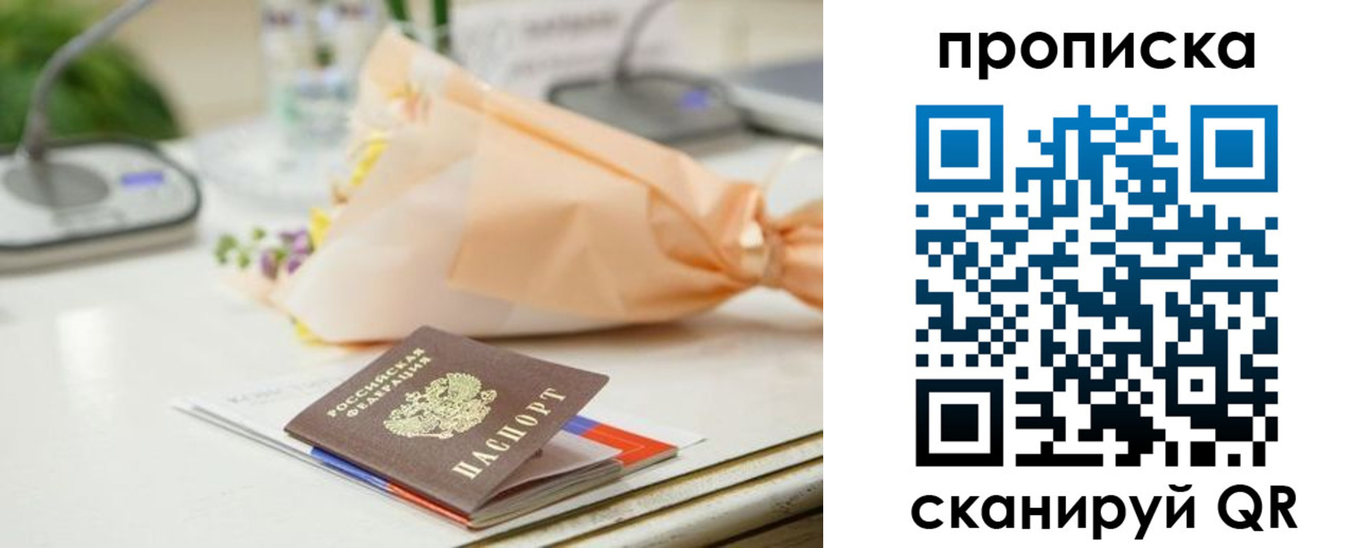 прописка в Белой Холунице